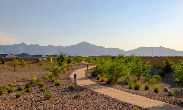 Community ammenities